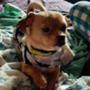 Meet your Posher, Tracy